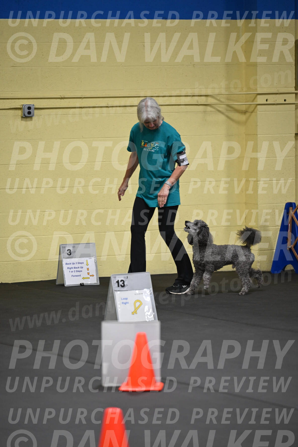 SAT803_0027