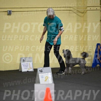 SAT803_0027
