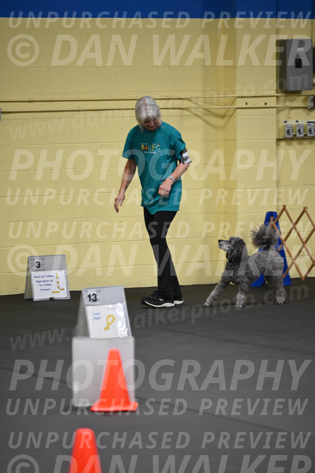 SAT803_0028
