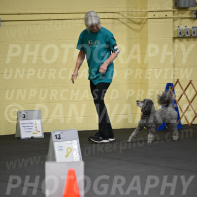 SAT803_0028