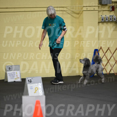 SAT803_0029