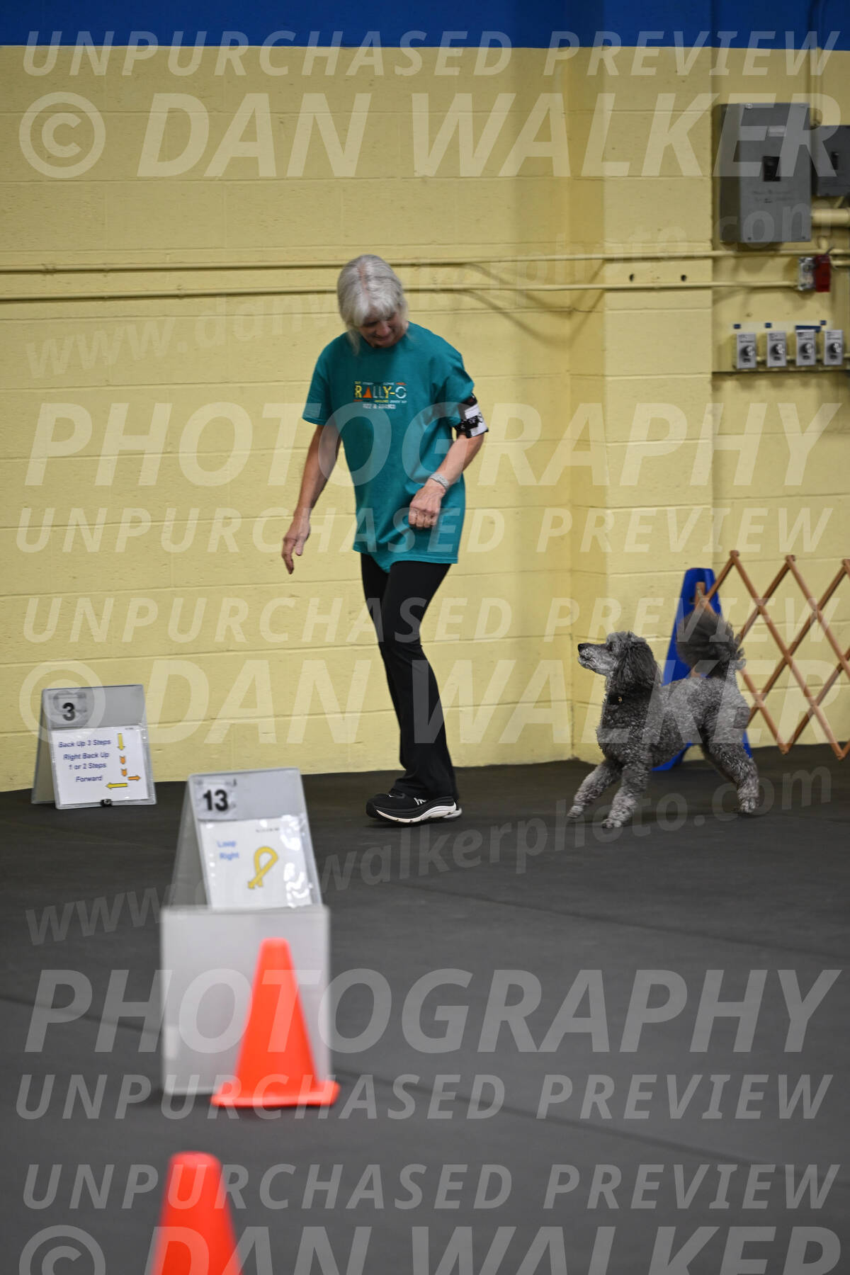 SAT803_0029