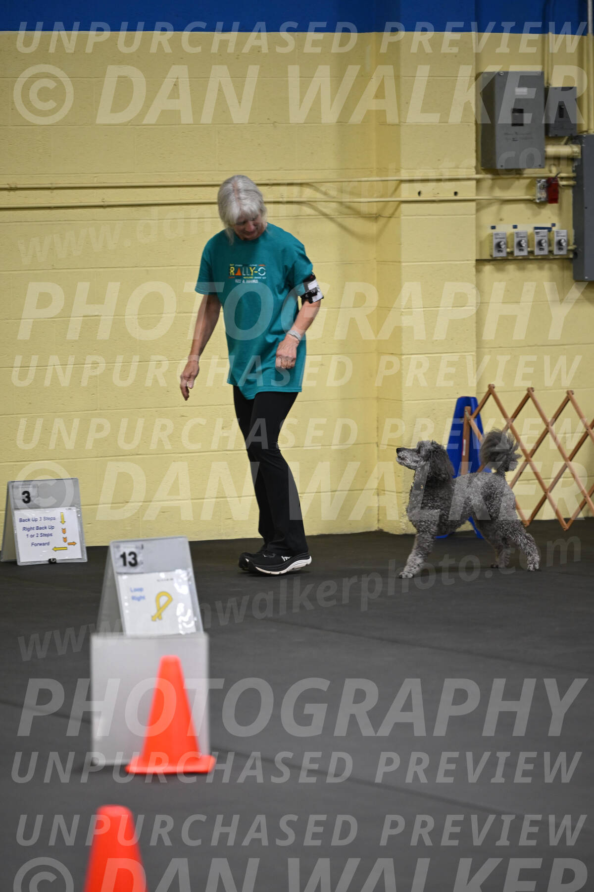 SAT803_0030