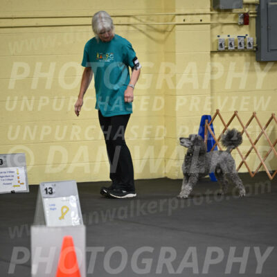 SAT803_0031