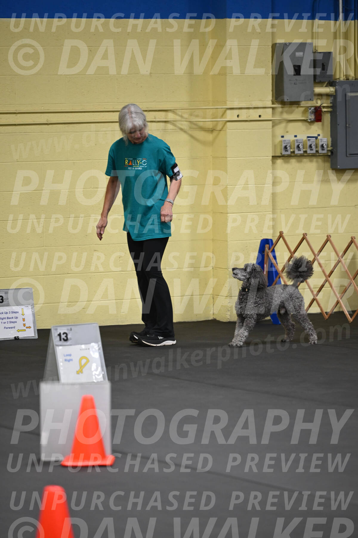 SAT803_0031