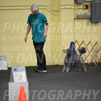 SAT803_0032