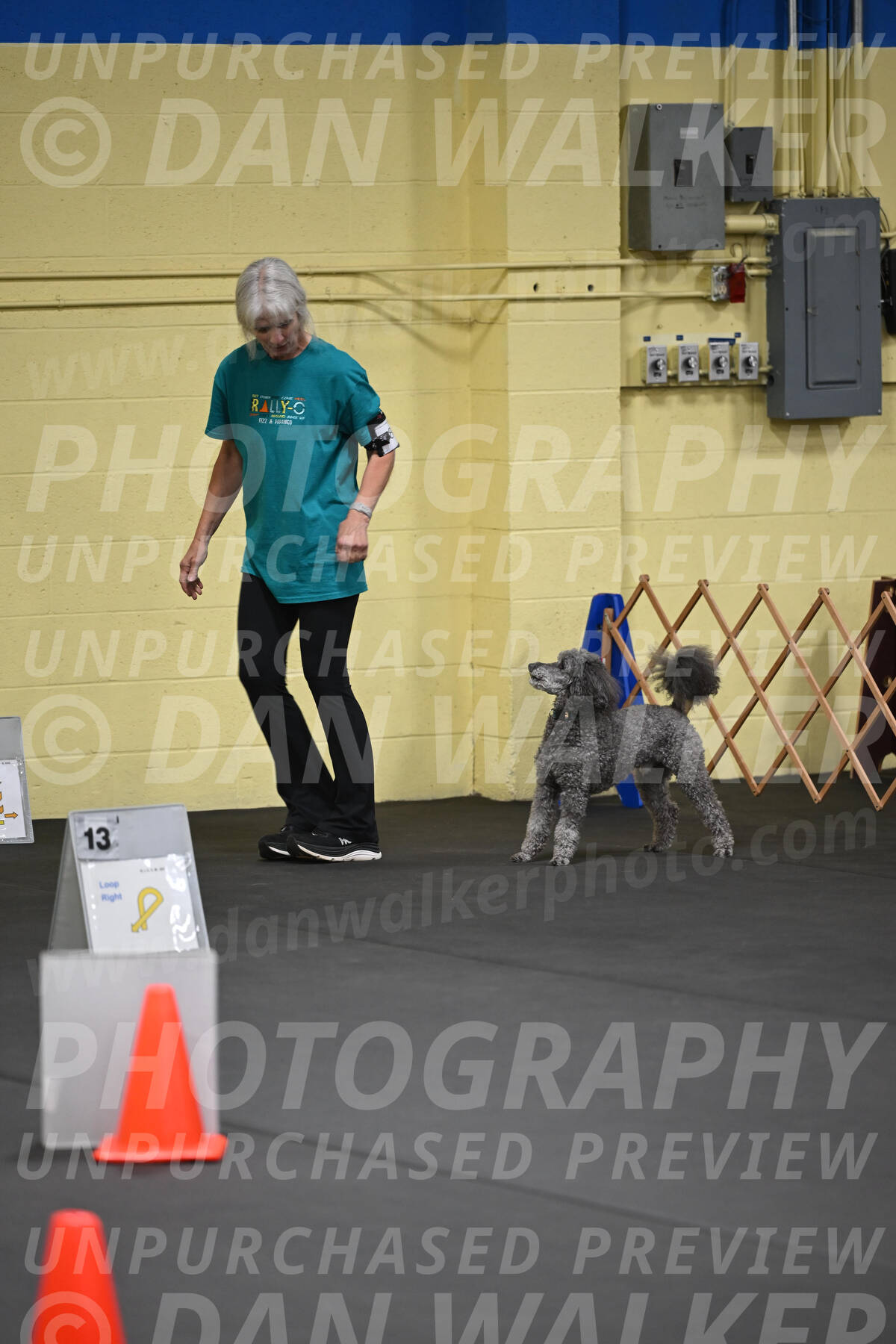 SAT803_0033