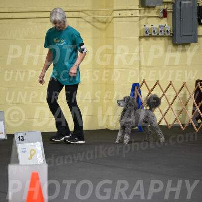 SAT803_0034