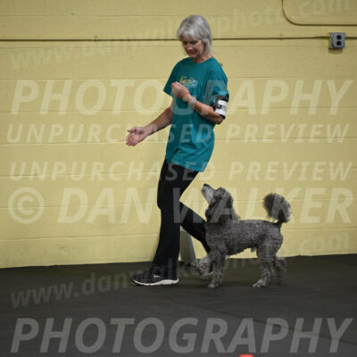 SAT803_0035