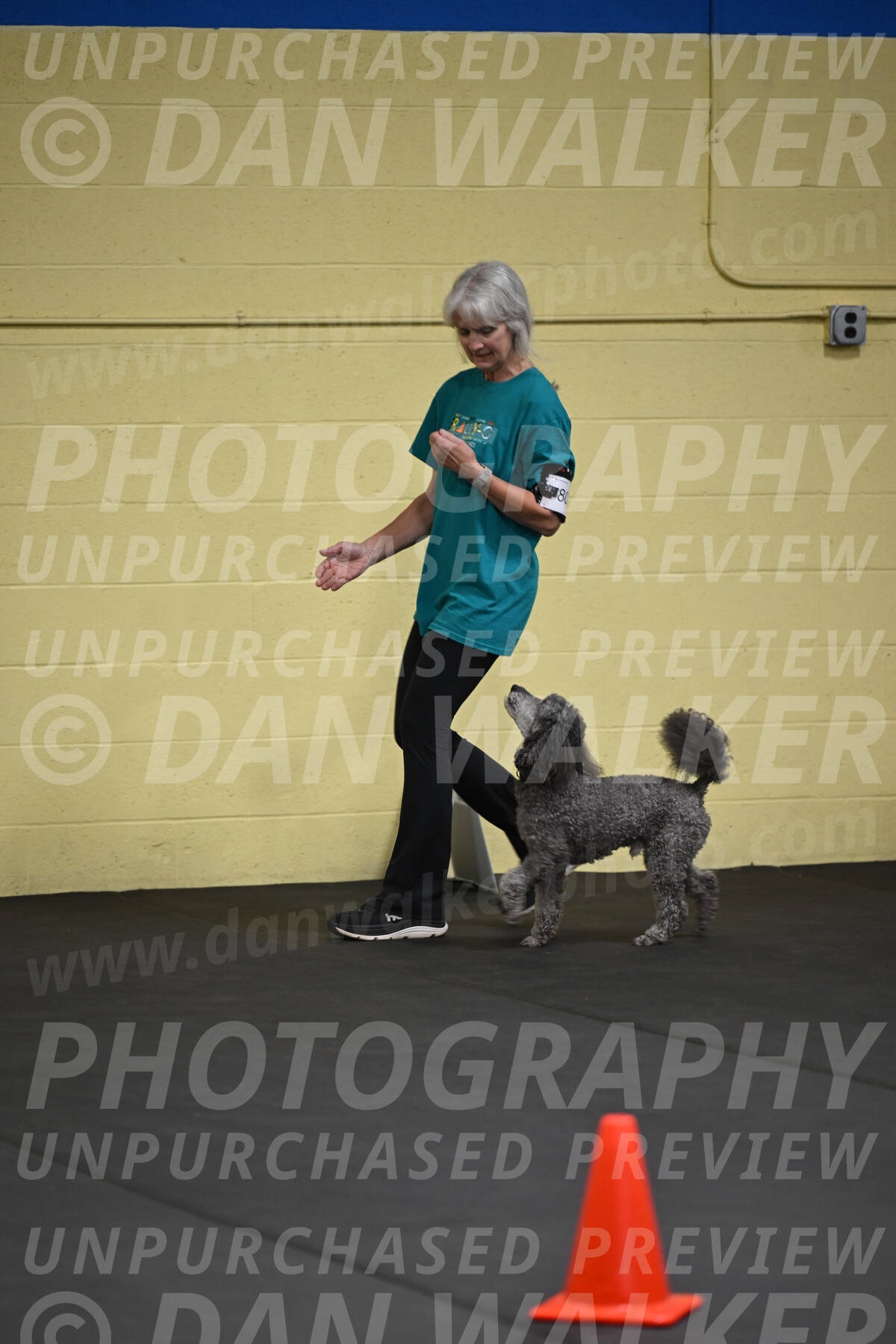 SAT803_0035