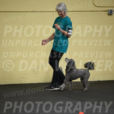 SAT803_0036