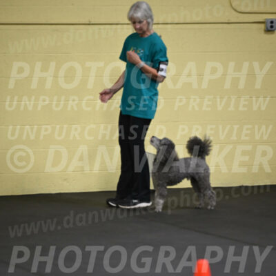 SAT803_0038