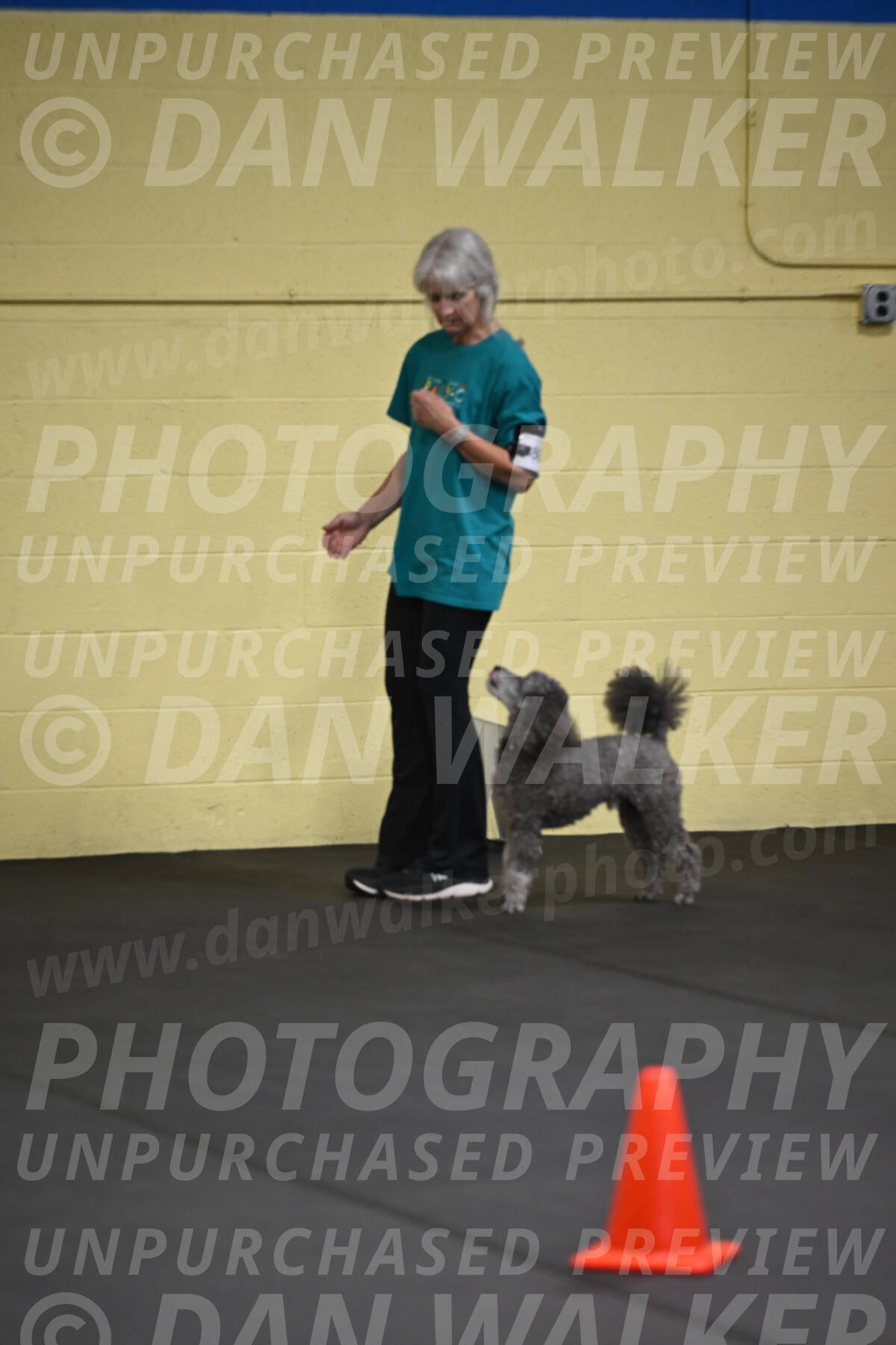SAT803_0038