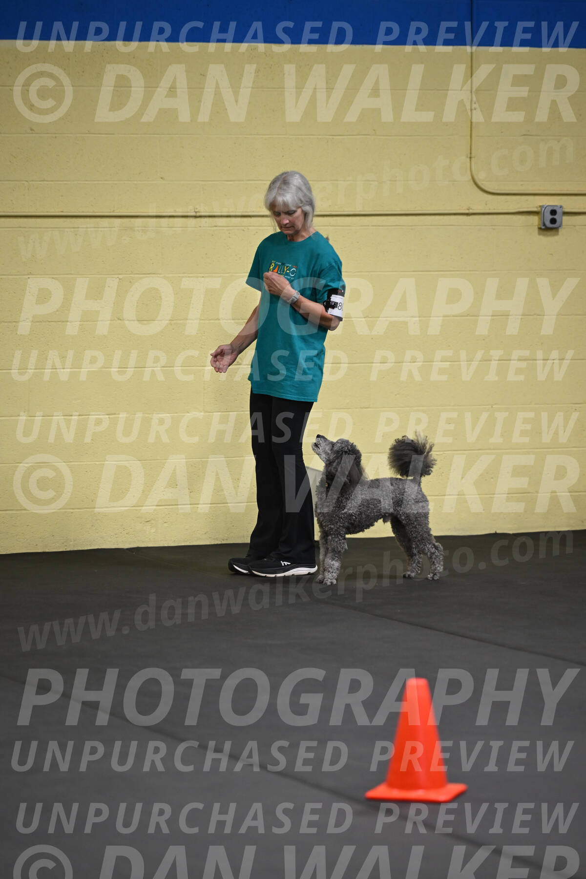 SAT803_0039