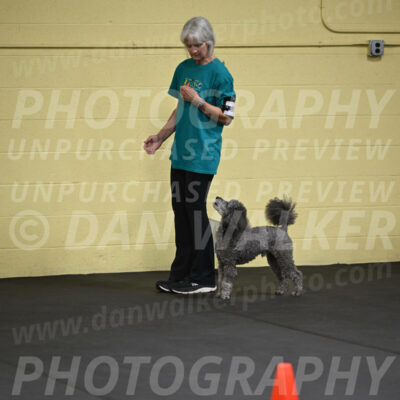 SAT803_0039