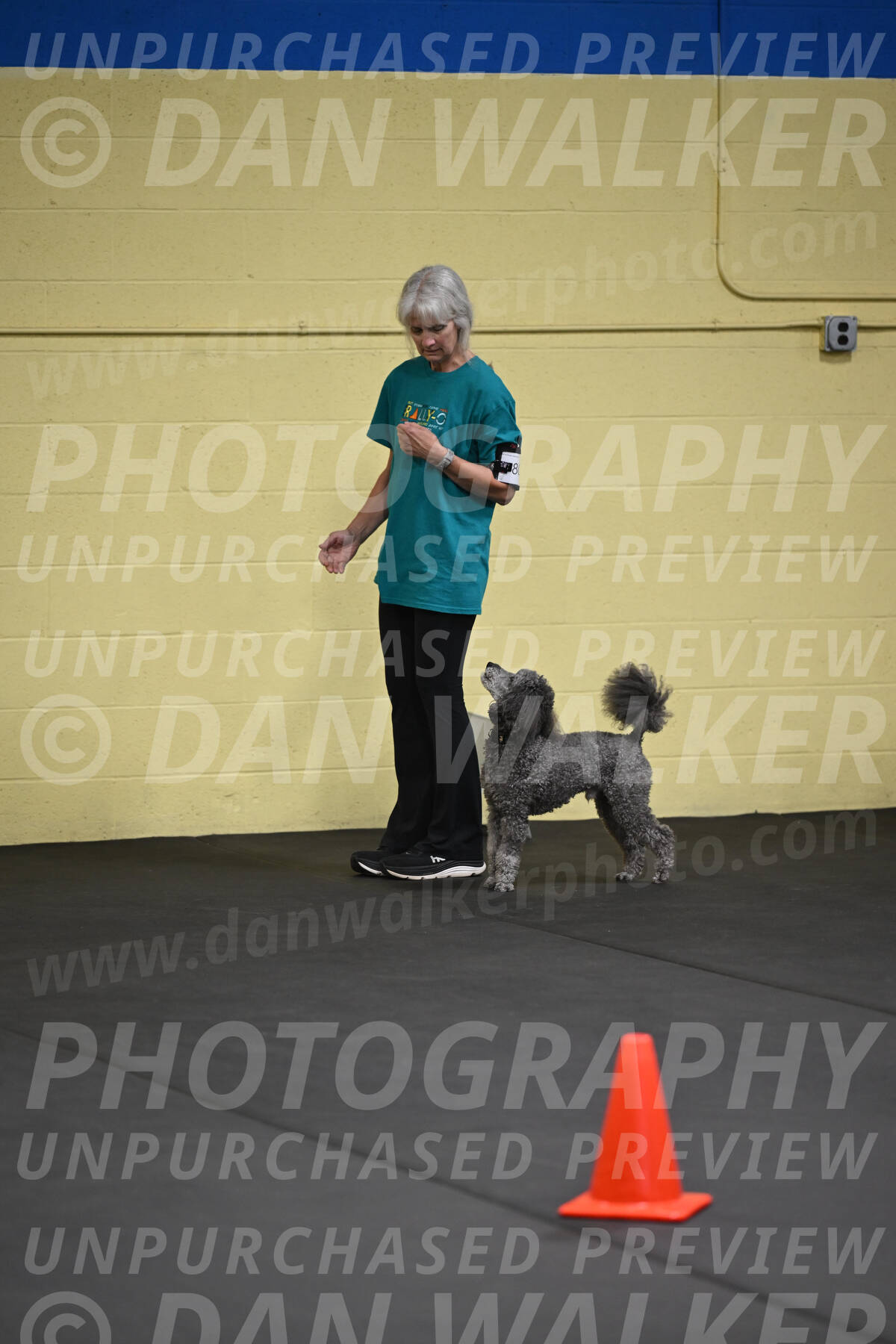 SAT803_0040
