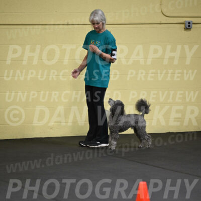 SAT803_0040
