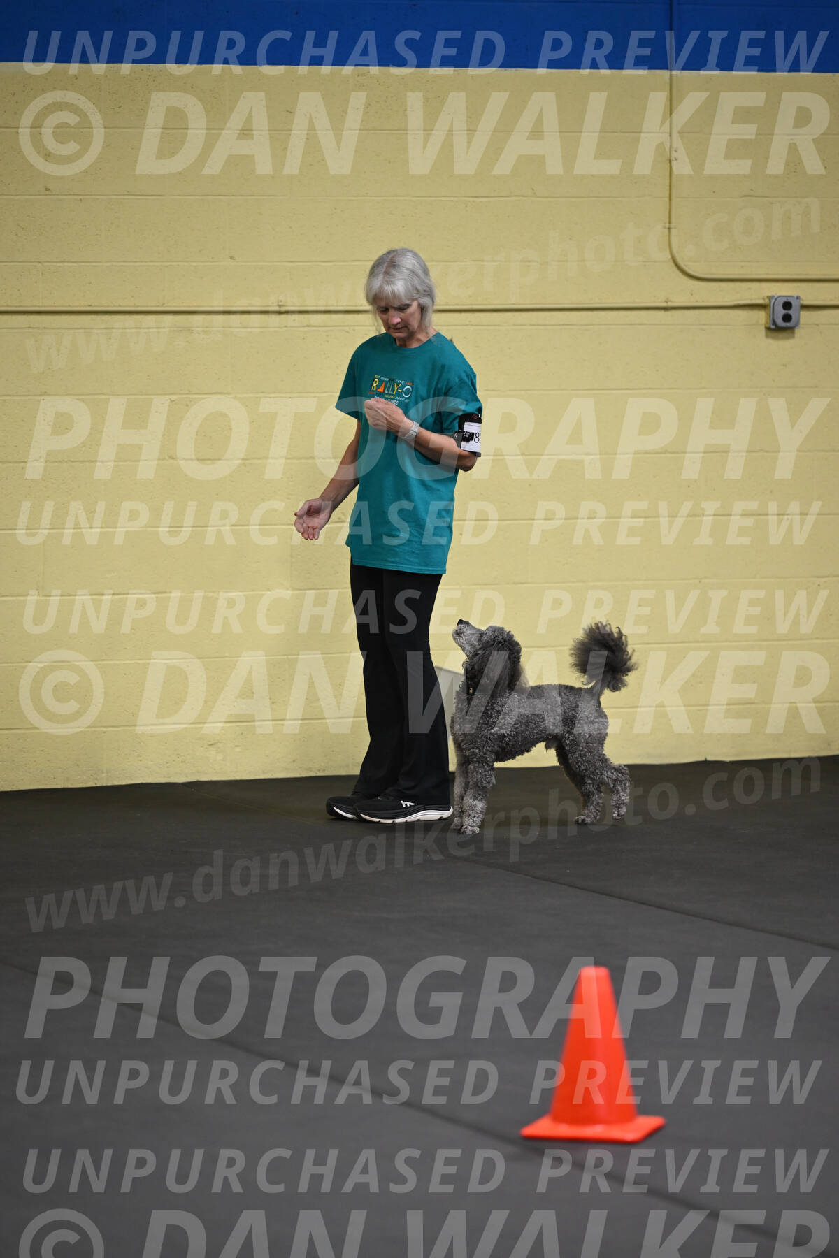 SAT803_0041