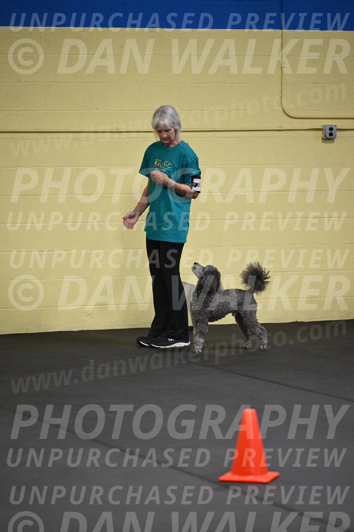 SAT803_0042