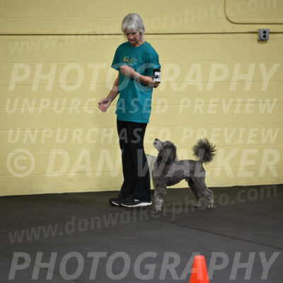 SAT803_0042