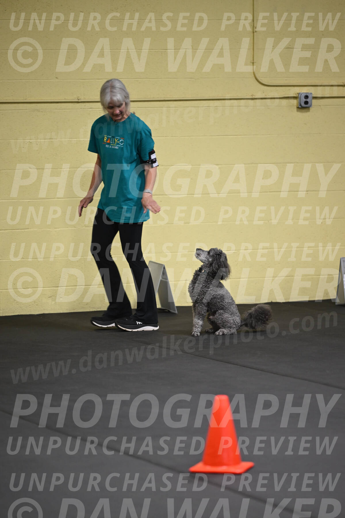 SAT803_0045