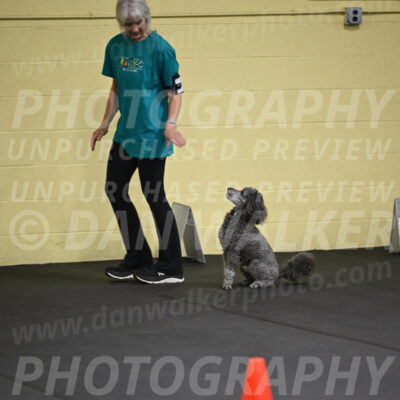 SAT803_0045