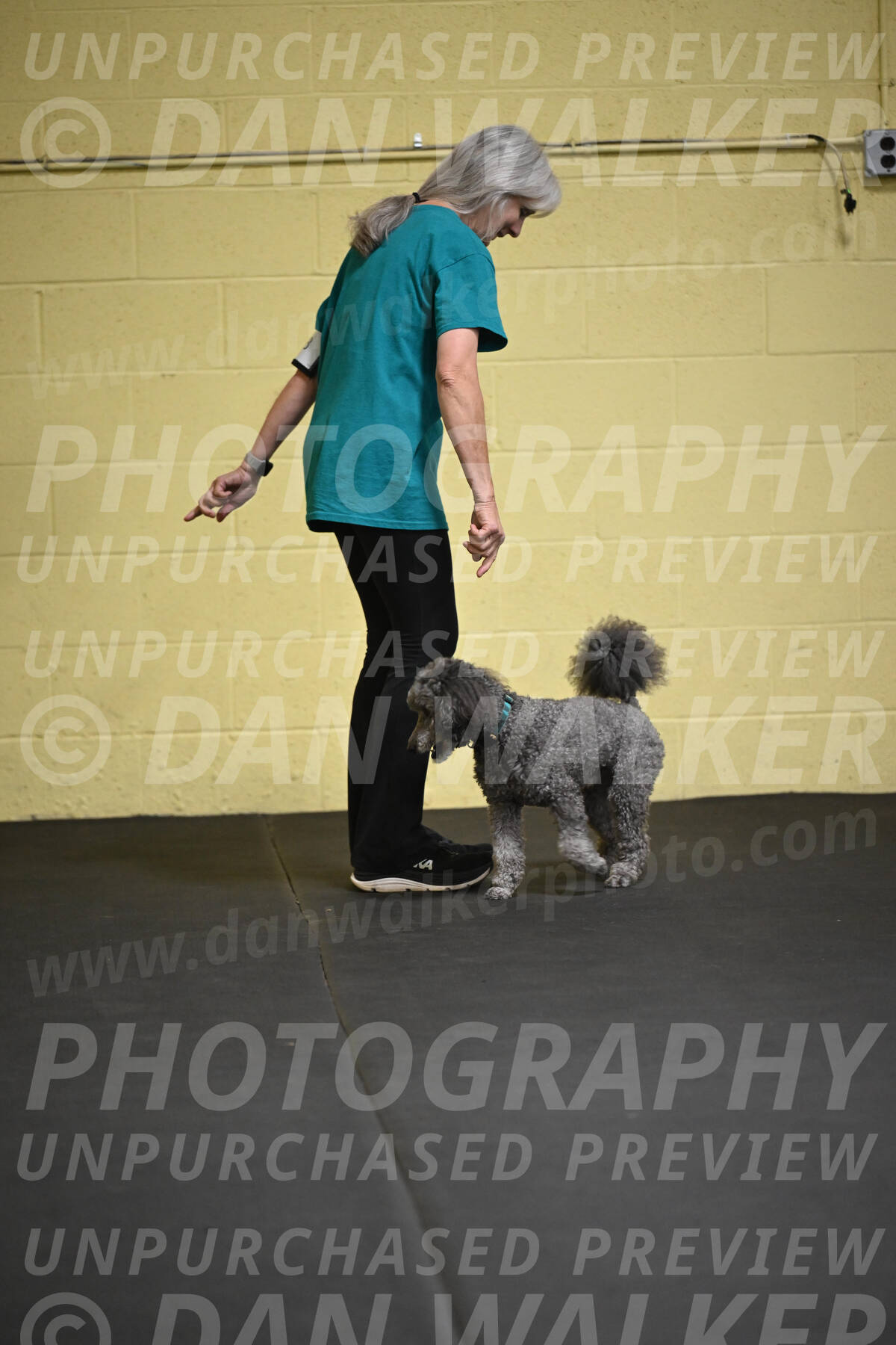 SAT803_0055