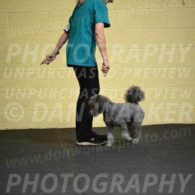 SAT803_0055