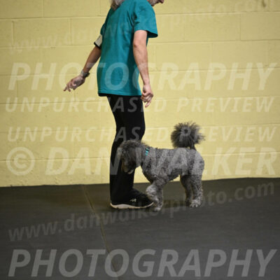 SAT803_0056