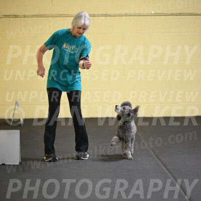 SAT803_0057