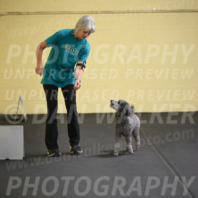 SAT803_0059