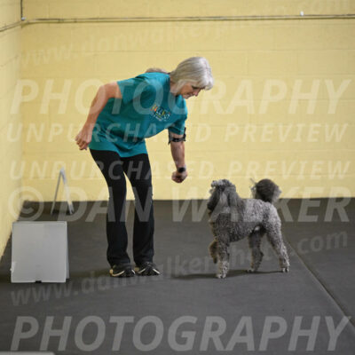 SAT803_0061