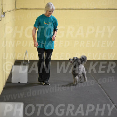 SAT803_0065