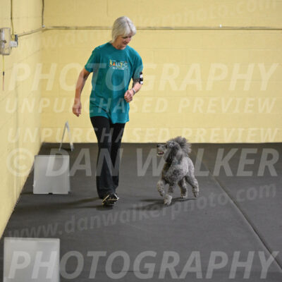 SAT803_0067