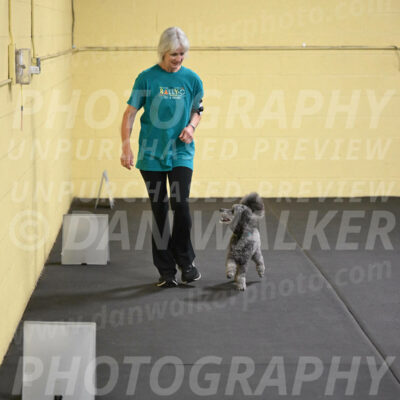 SAT803_0068