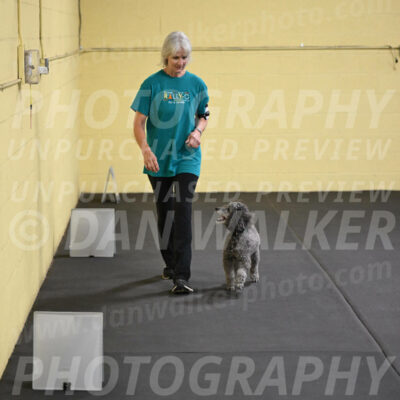 SAT803_0070