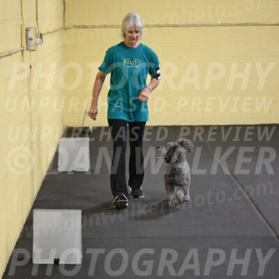 SAT803_0074