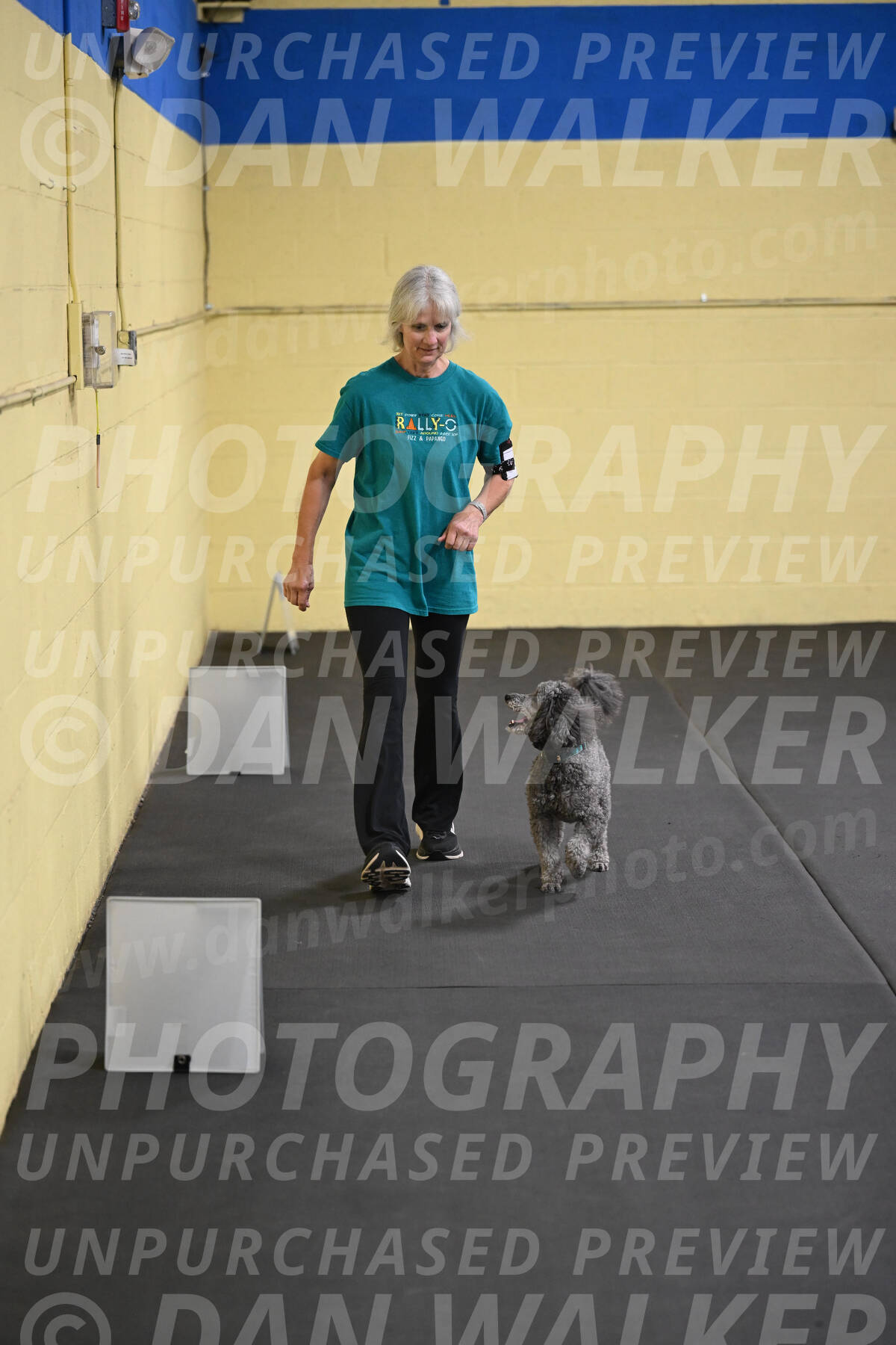 SAT803_0074