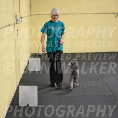SAT803_0077