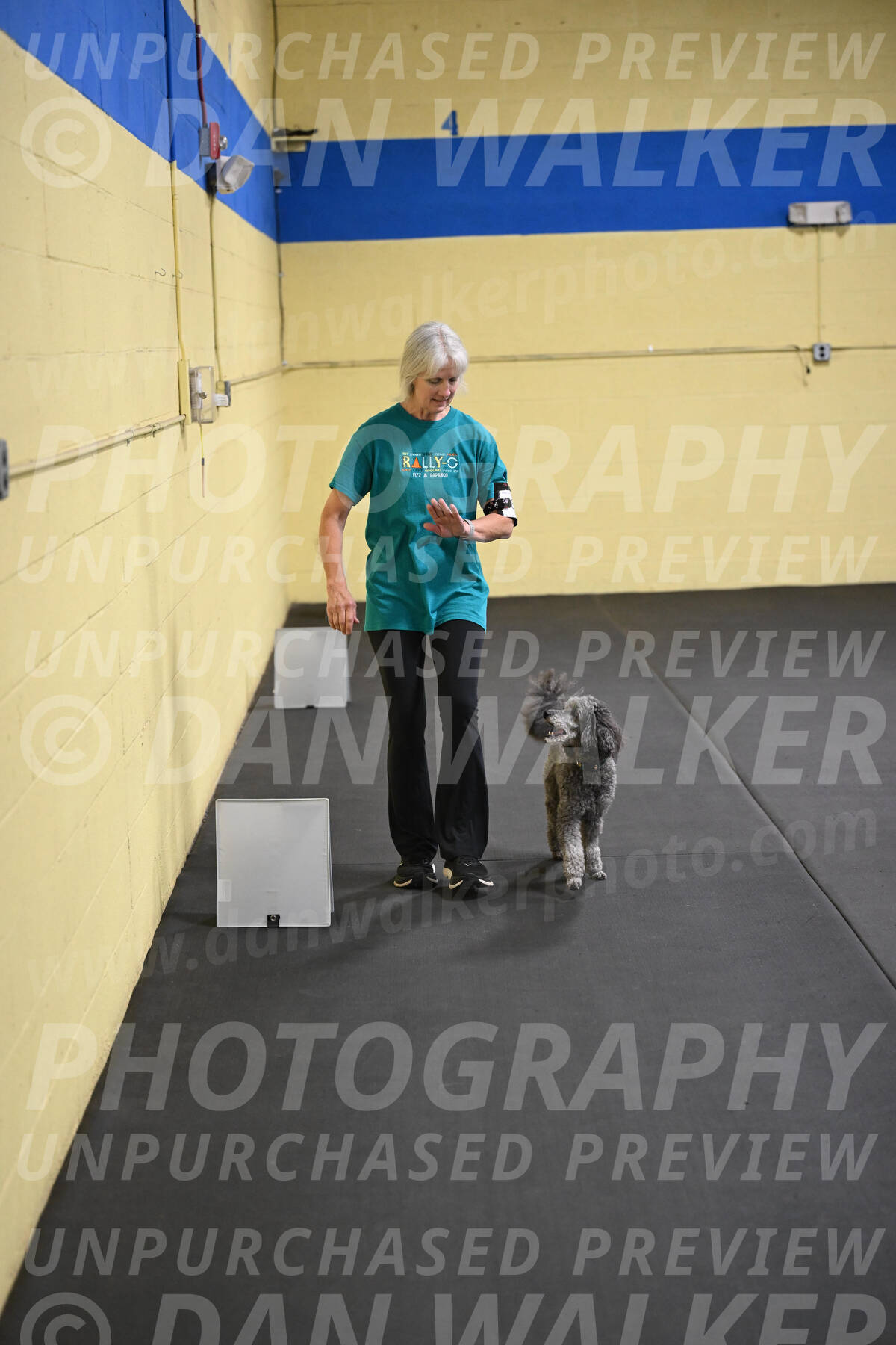 SAT803_0085