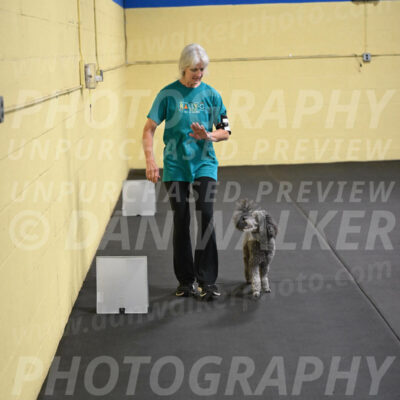 SAT803_0085