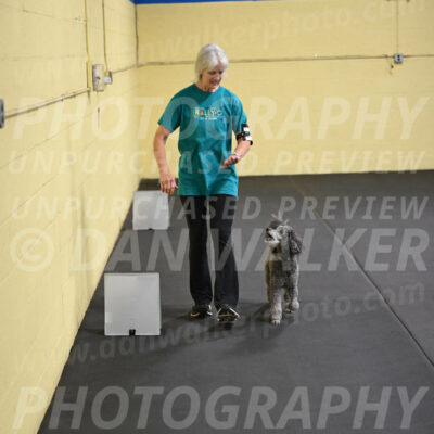 SAT803_0086