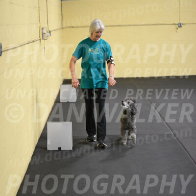 SAT803_0087