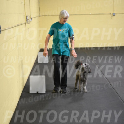 SAT803_0089