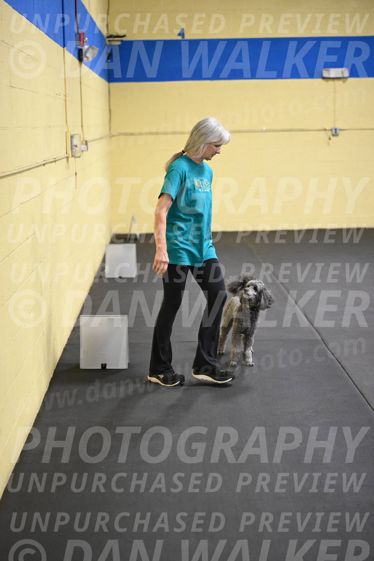 SAT803_0093