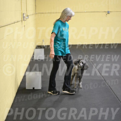 SAT803_0093
