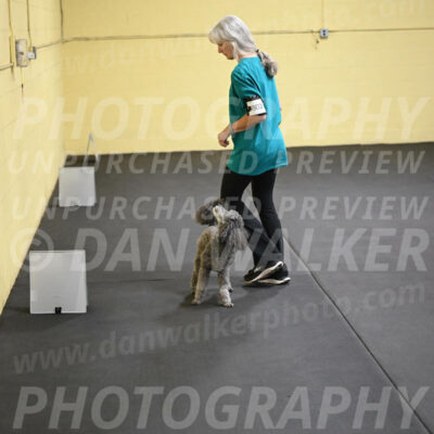 SAT803_0098