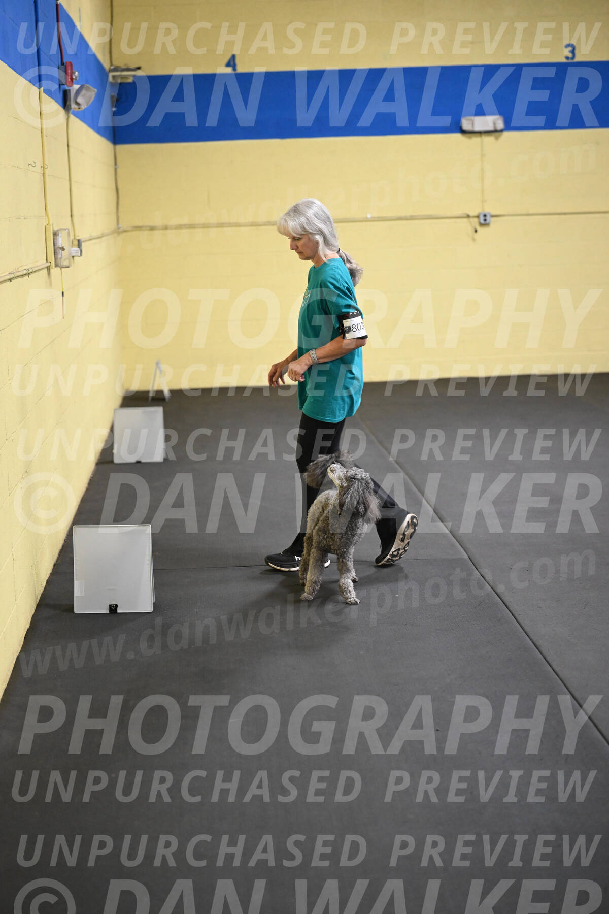 SAT803_0102