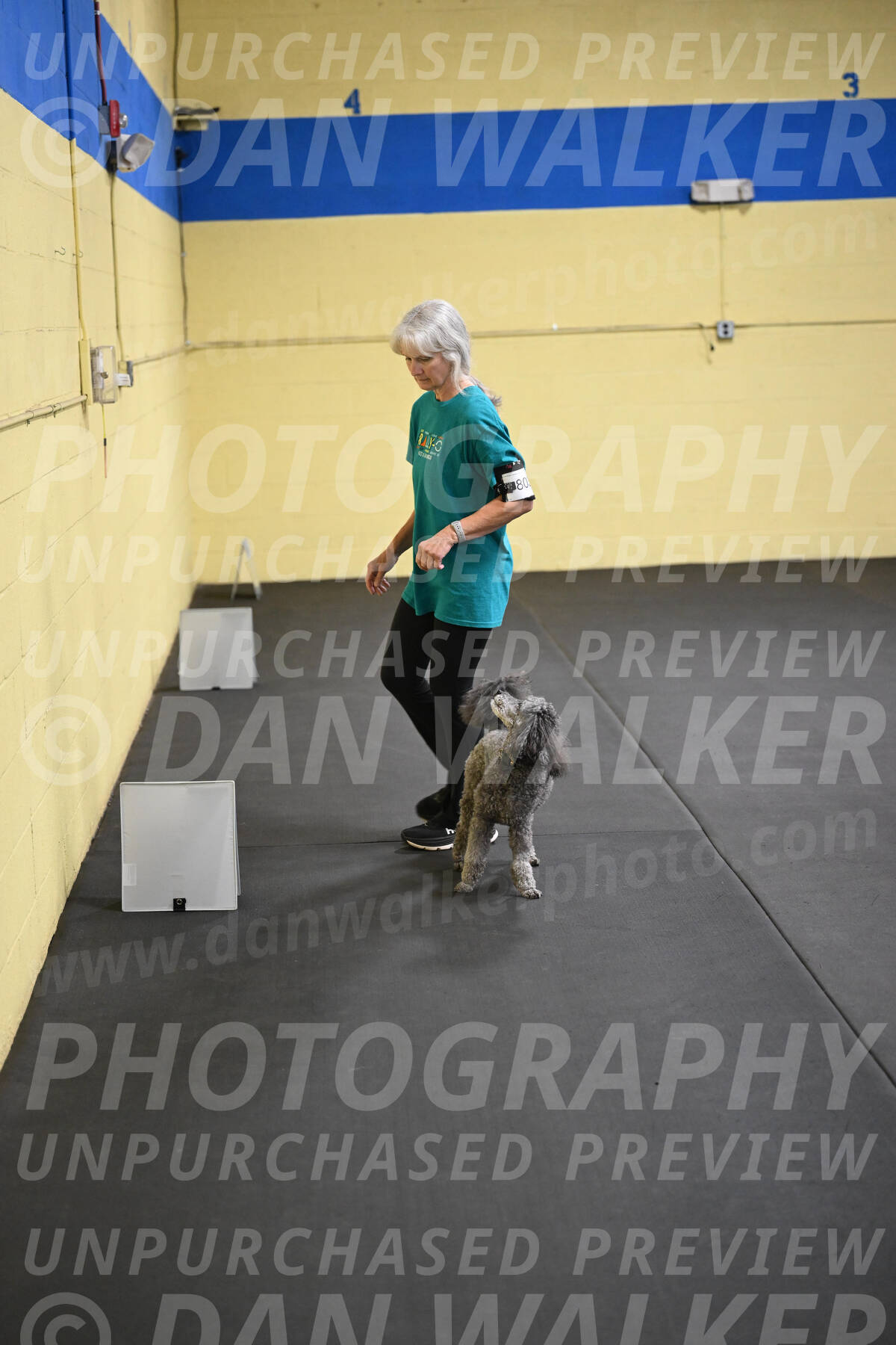 SAT803_0104