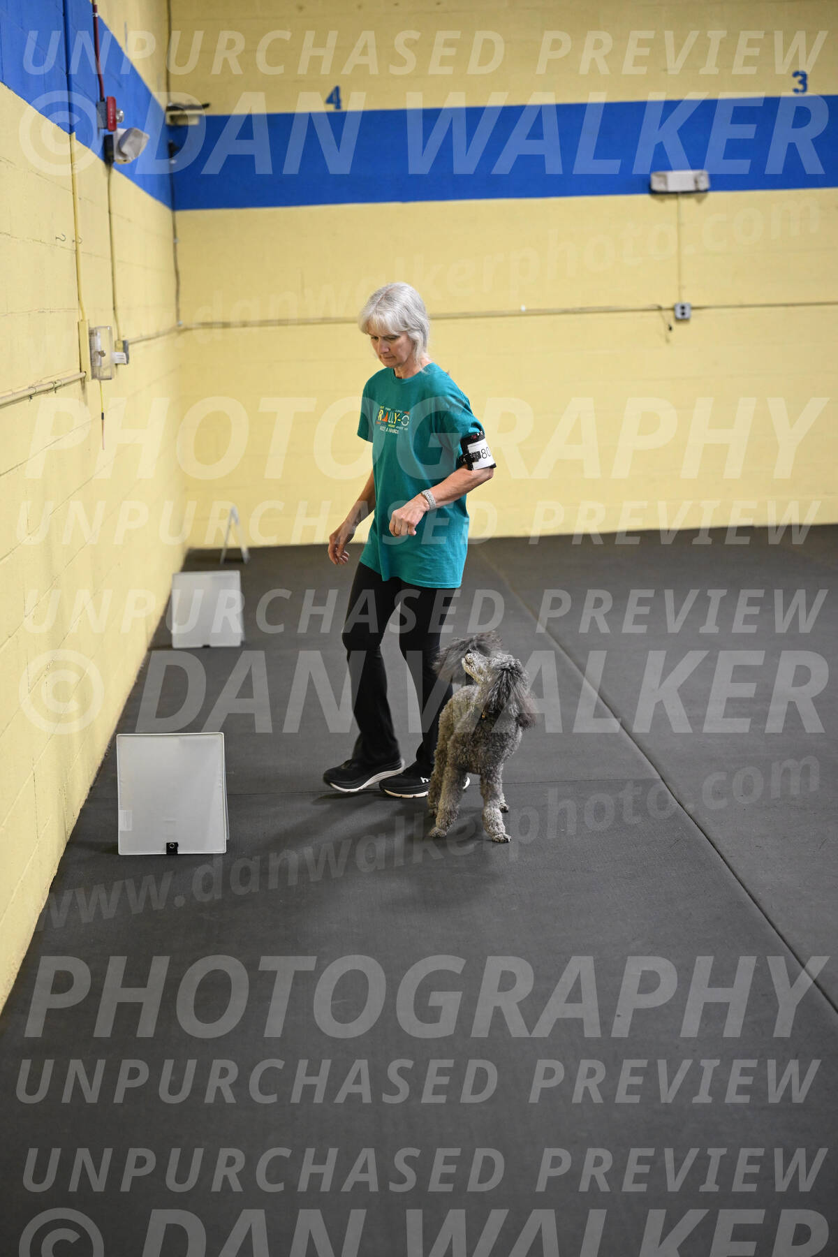 SAT803_0105